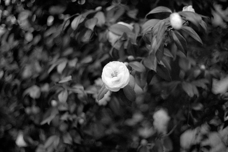 f:id:aremo-koremo:20190428045029j:plain