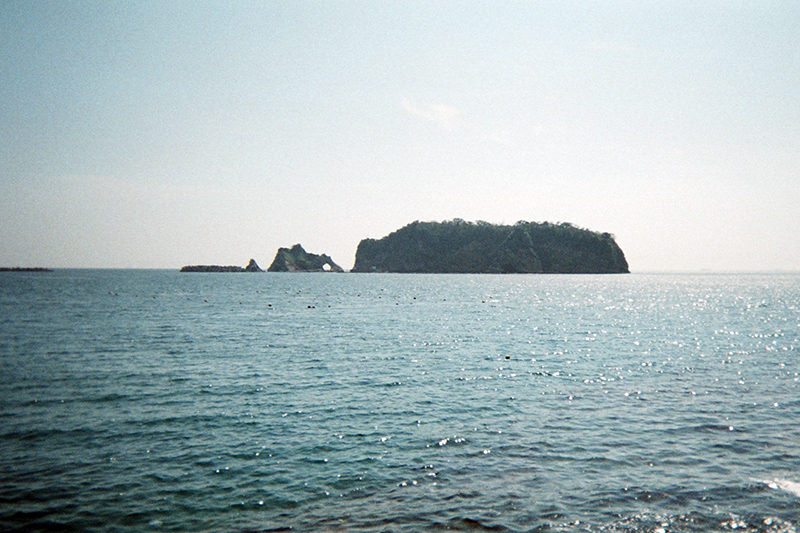 f:id:aremo-koremo:20190617173214j:plain