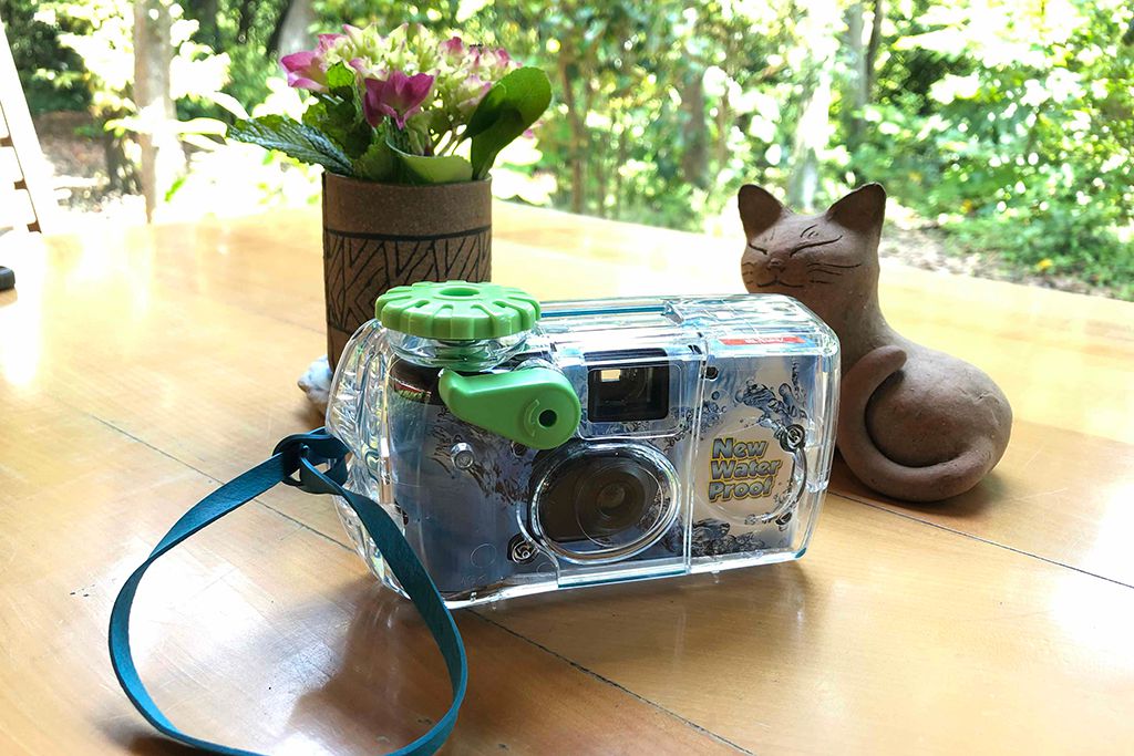 f:id:aremo-koremo:20190617181058j:plain