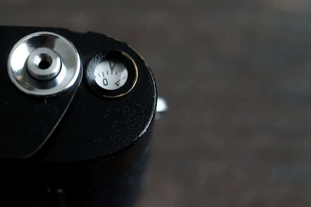 f:id:aremo-koremo:20190812042106j:plain