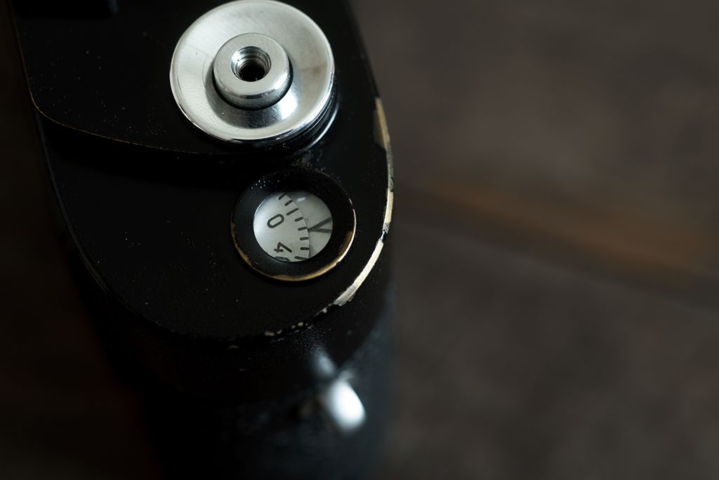 f:id:aremo-koremo:20190812042549j:plain