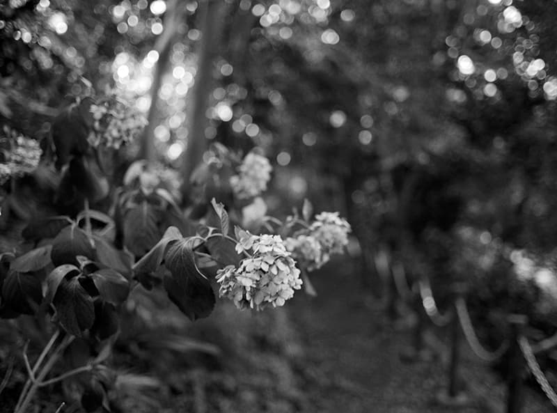 f:id:aremo-koremo:20190906035331j:plain f:id:aremo-koremo:20190906035331j:plain