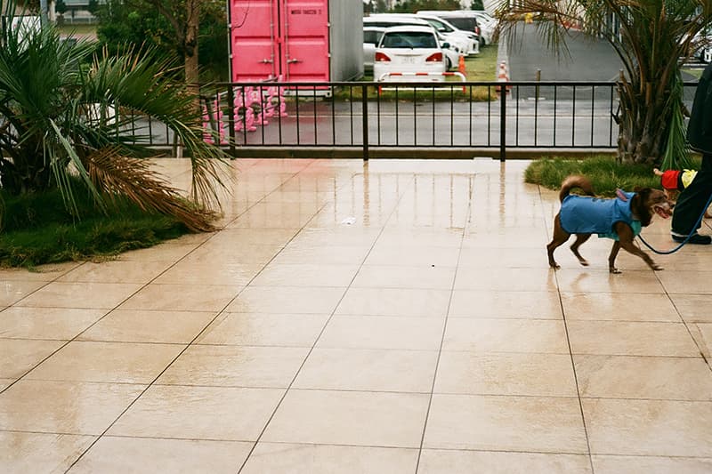 f:id:aremo-koremo:20191027024303j:plain f:id:aremo-koremo:20191027024303j:plain