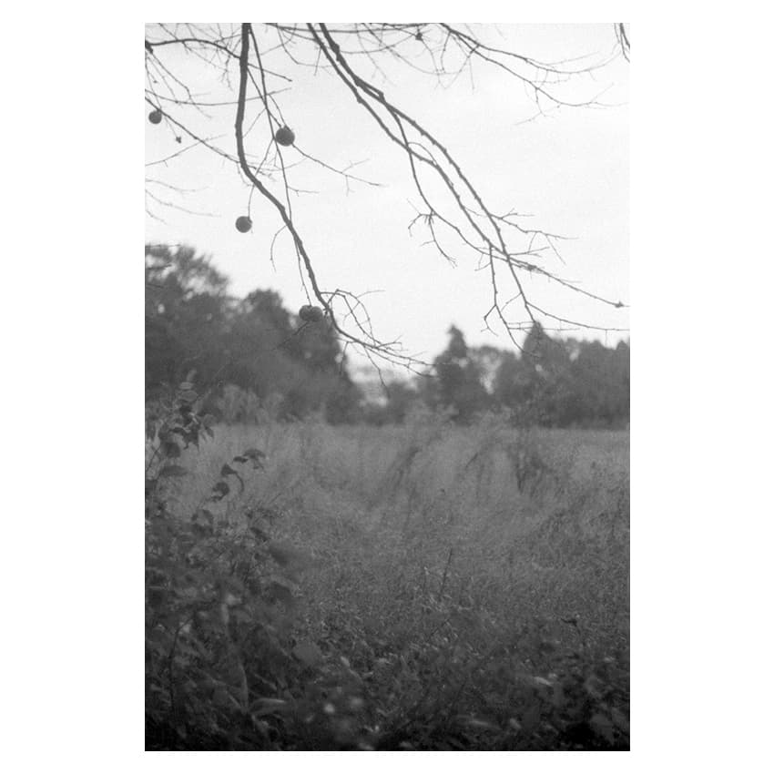 f:id:aremo-koremo:20191110155828j:plain