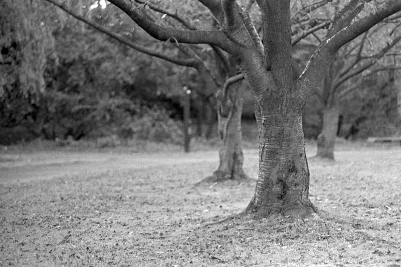 f:id:aremo-koremo:20191122173821j:plain f:id:aremo-koremo:20191122173821j:plain