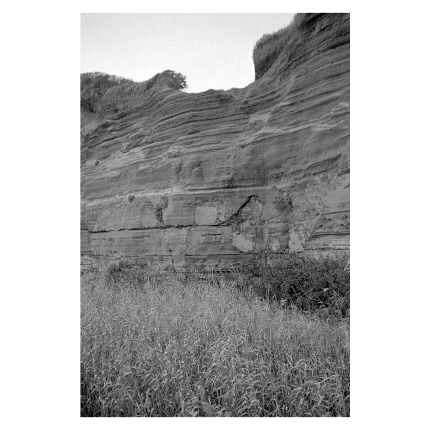 f:id:aremo-koremo:20191130171243j:plain