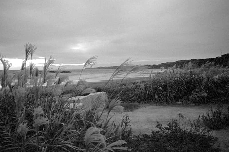 f:id:aremo-koremo:20191130185402j:plain