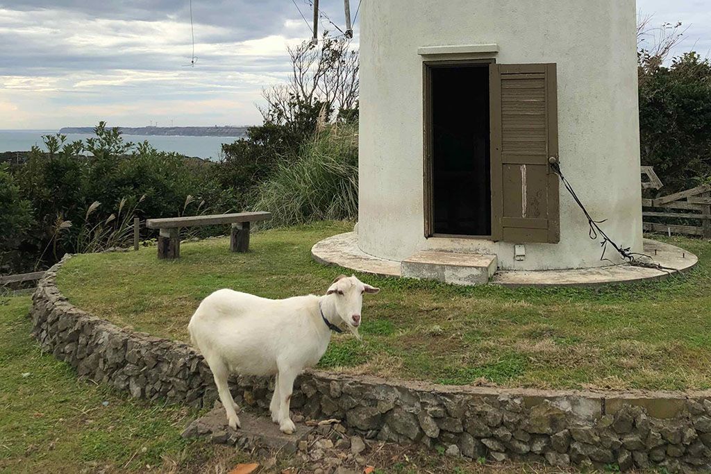 f:id:aremo-koremo:20191130224217j:plain