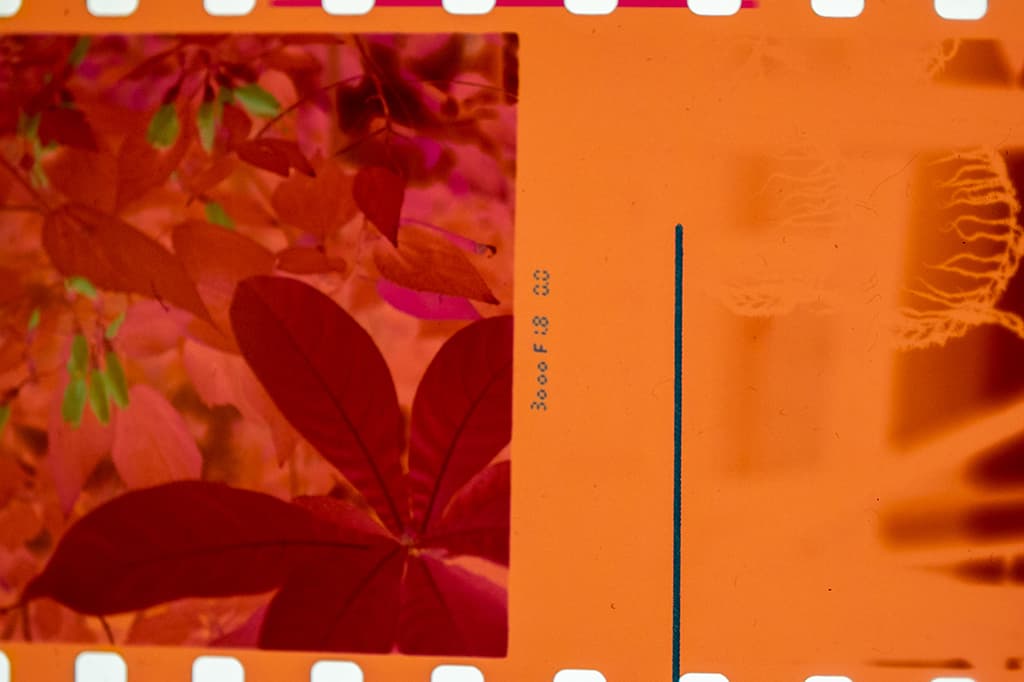 f:id:aremo-koremo:20191215162736j:plain f:id:aremo-koremo:20191215162736j:plain