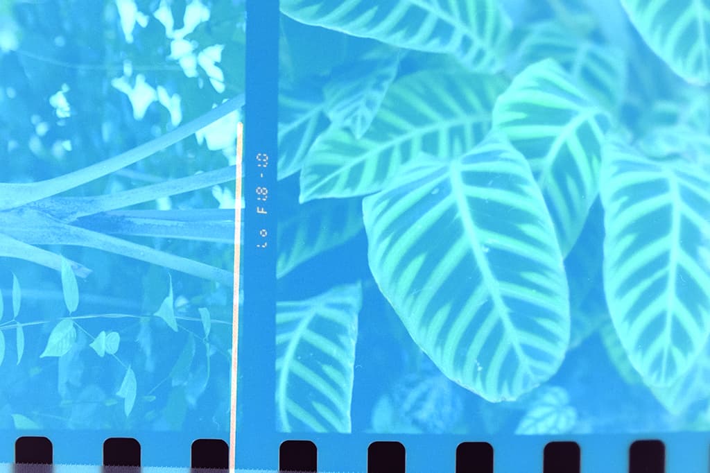 f:id:aremo-koremo:20191215162803j:plain f:id:aremo-koremo:20191215162803j:plain