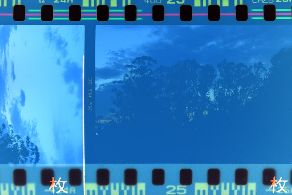 f:id:aremo-koremo:20191215162918j:plain f:id:aremo-koremo:20191215162918j:plain