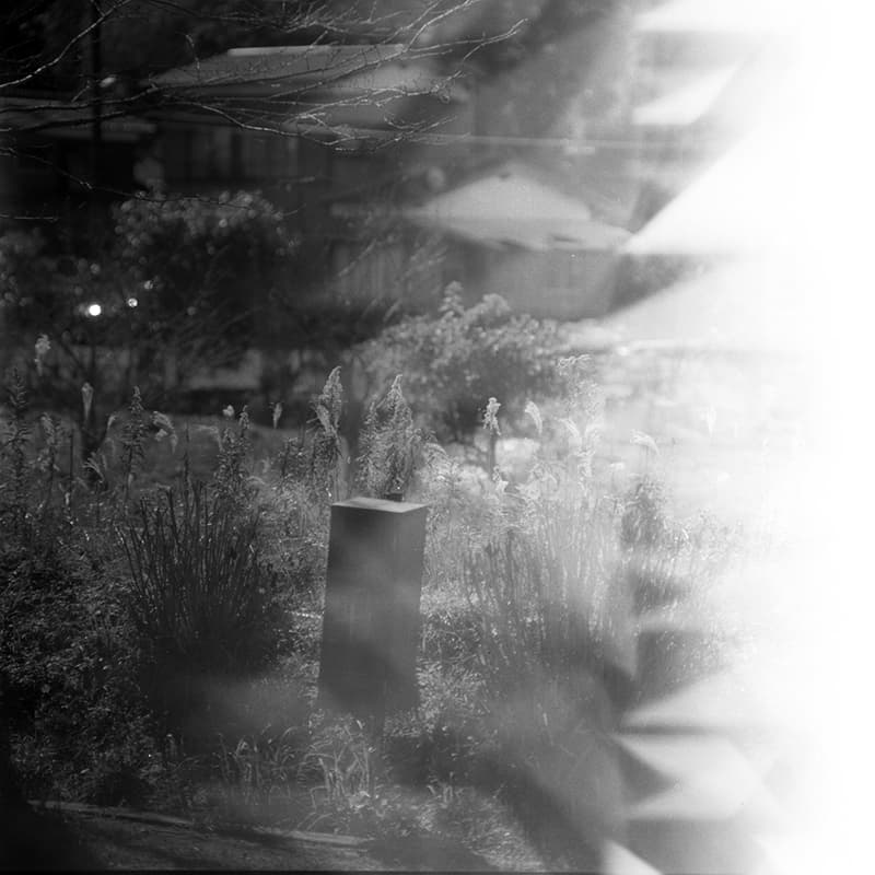 f:id:aremo-koremo:20200117164745j:plain