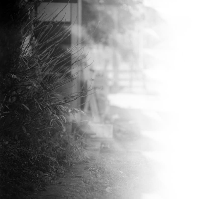 f:id:aremo-koremo:20200117233047j:plain