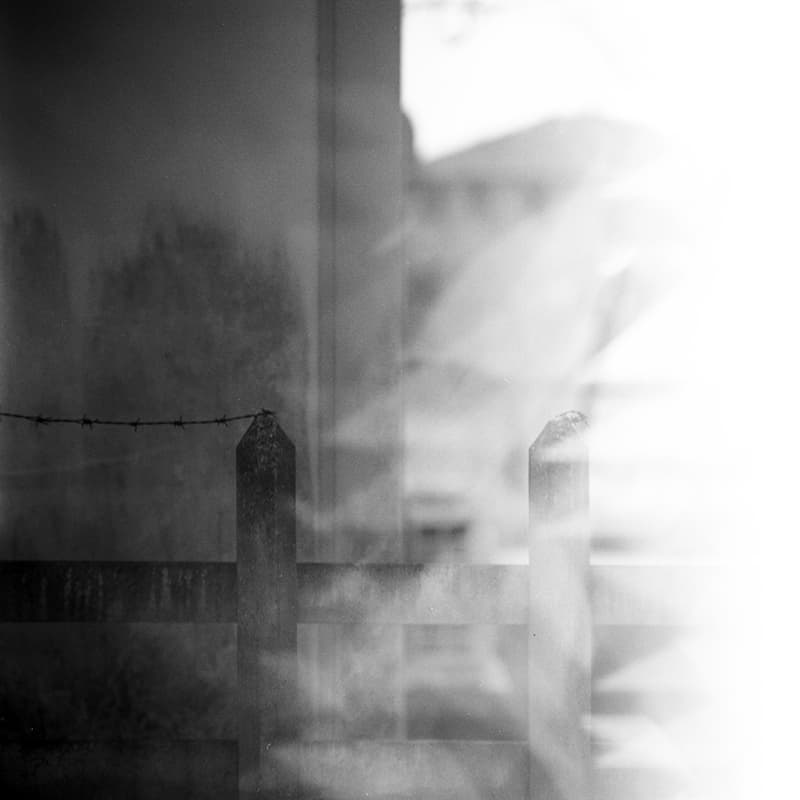 f:id:aremo-koremo:20200117233203j:plain