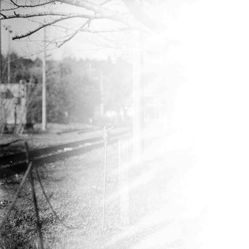 f:id:aremo-koremo:20200118004614j:plain