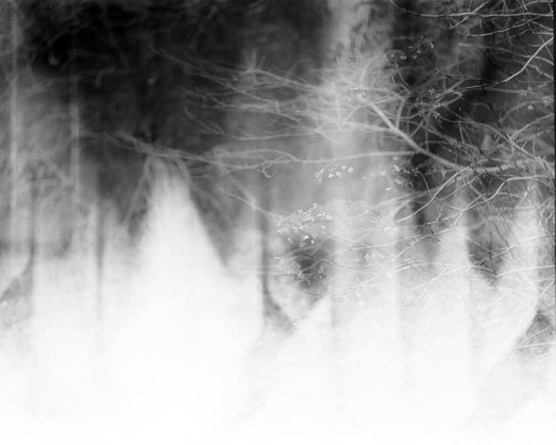 f:id:aremo-koremo:20200118005333j:plain