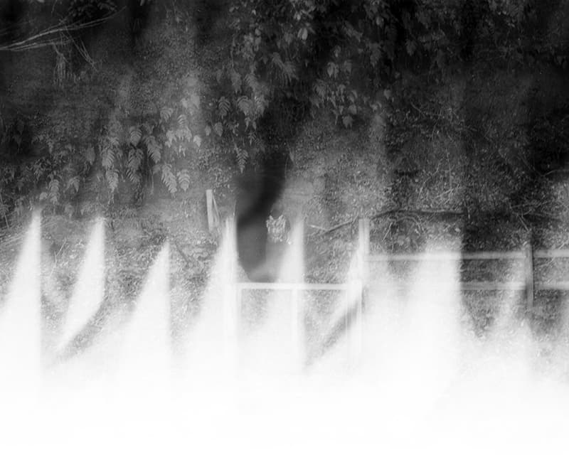 f:id:aremo-koremo:20200118005832j:plain