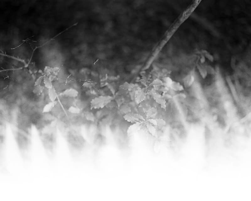 f:id:aremo-koremo:20200118011227j:plain