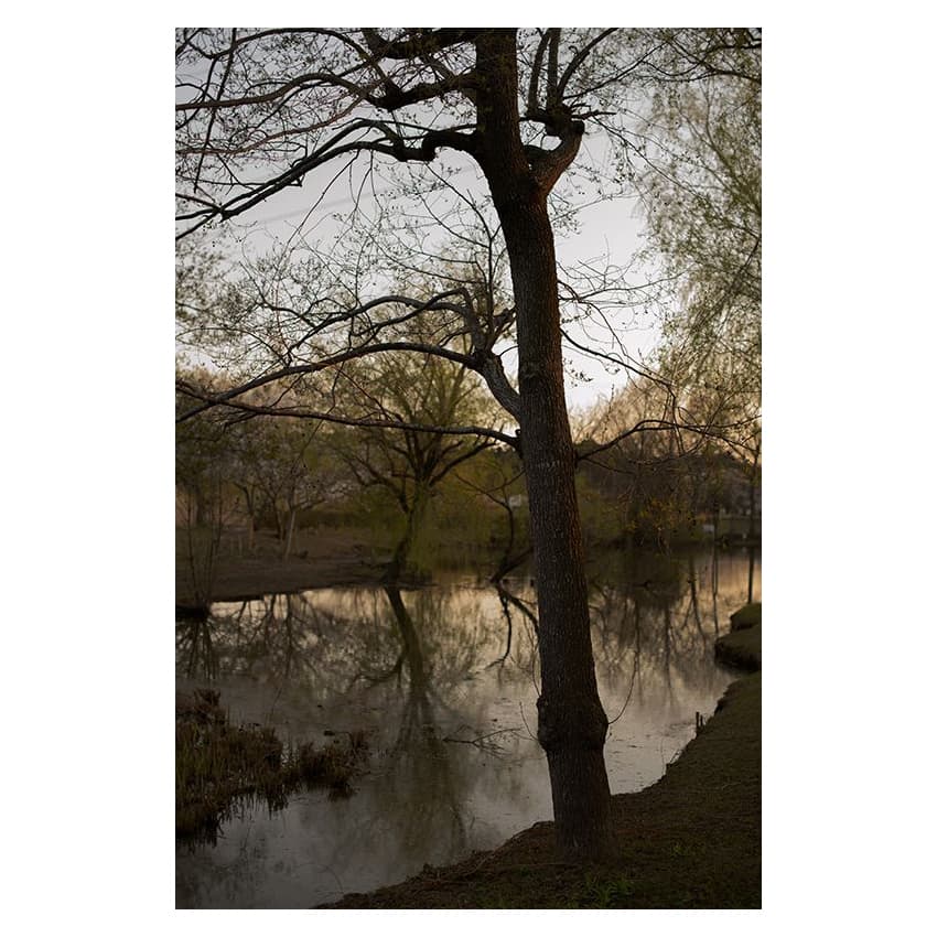 f:id:aremo-koremo:20200401150445j:plain