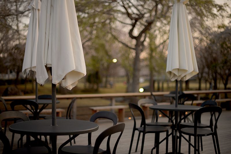 f:id:aremo-koremo:20200401150844j:plain