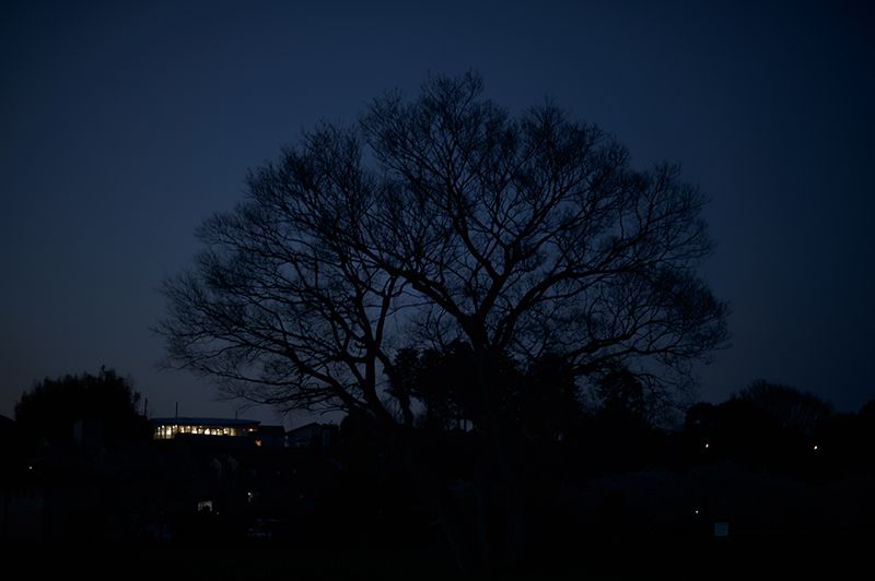 f:id:aremo-koremo:20200401152326j:plain