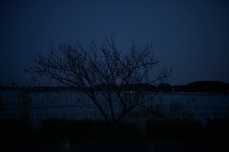 f:id:aremo-koremo:20200401152654j:plain