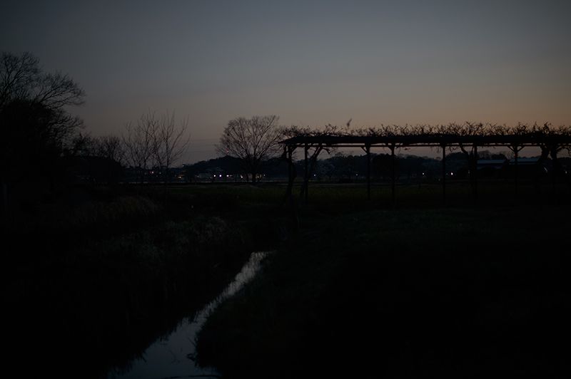 f:id:aremo-koremo:20200401152950j:plain