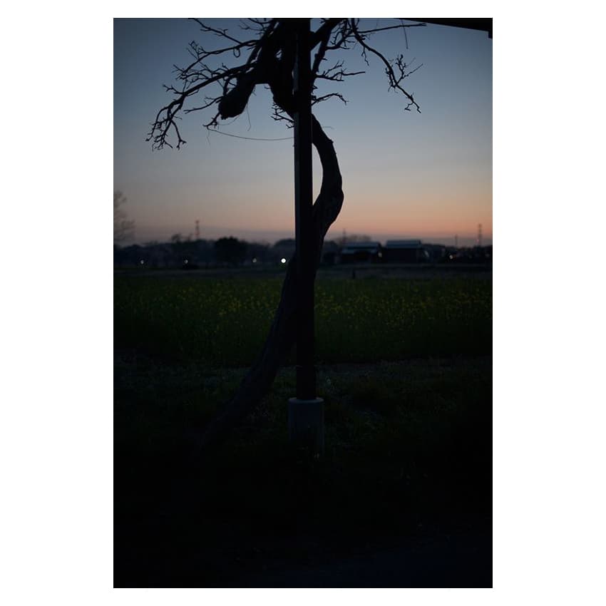 f:id:aremo-koremo:20200401153252j:plain