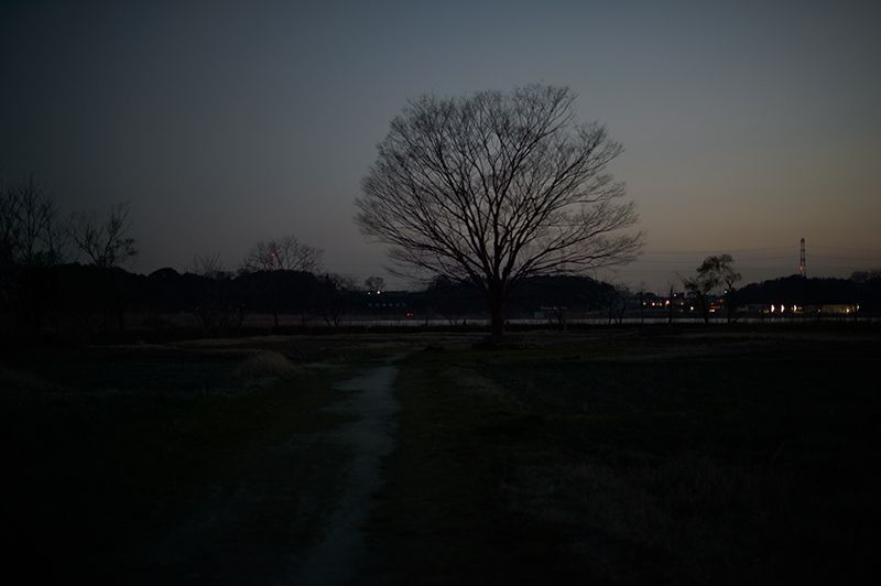 f:id:aremo-koremo:20200401153911j:plain