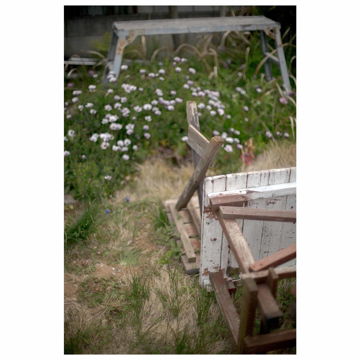 f:id:aremo-koremo:20200425003111j:plain