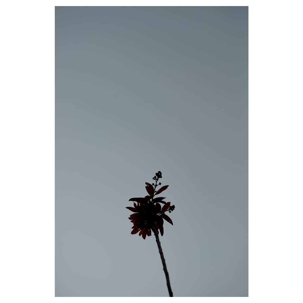 f:id:aremo-koremo:20200508043955j:plain