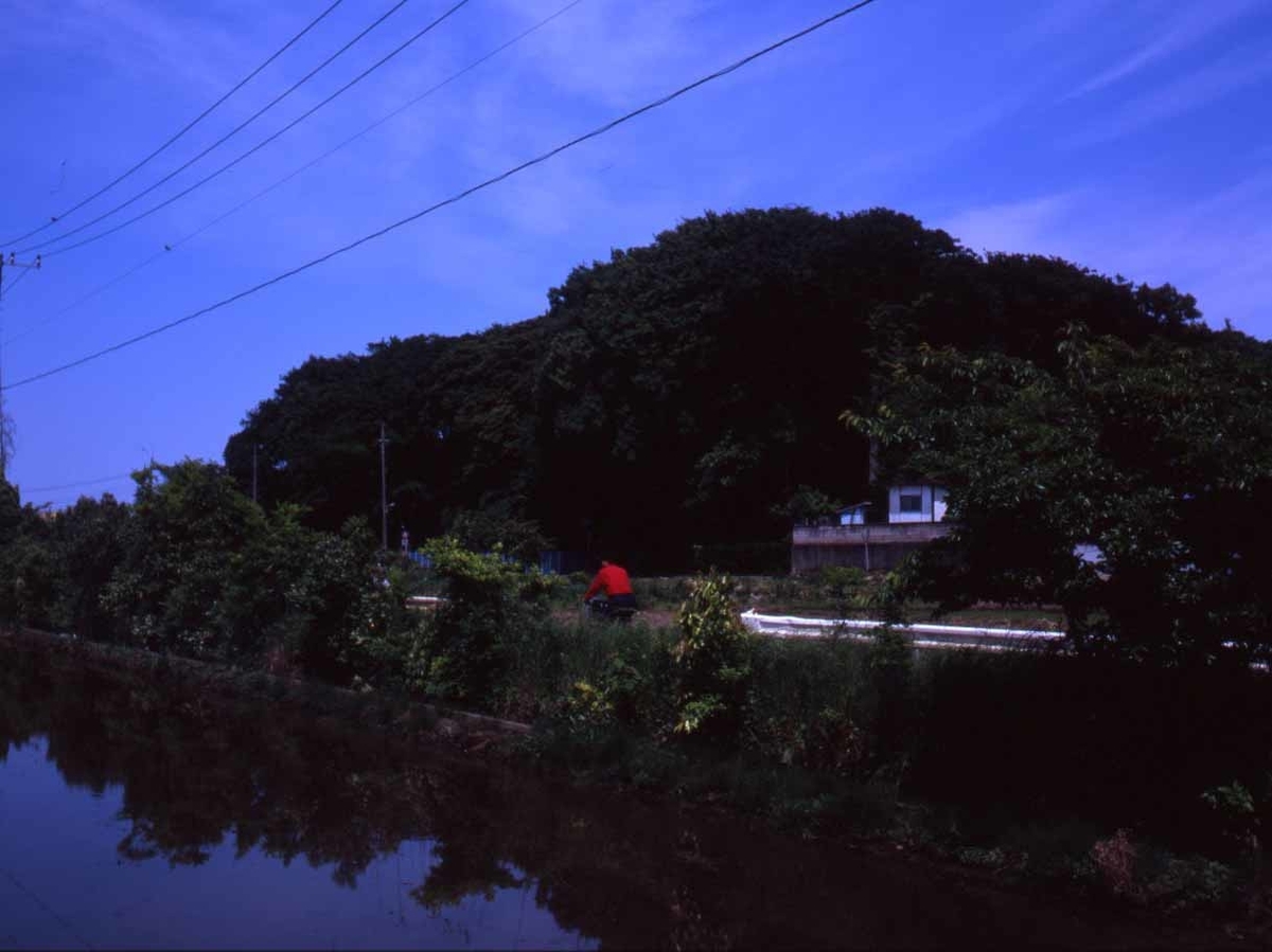 f:id:aremo-koremo:20200606164012j:plain