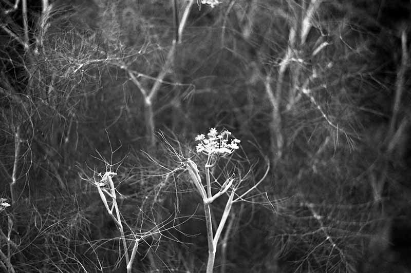 f:id:aremo-koremo:20200626144350j:plain