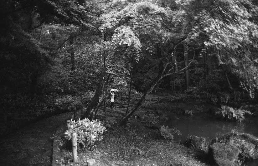 f:id:aremo-koremo:20200626154316j:plain