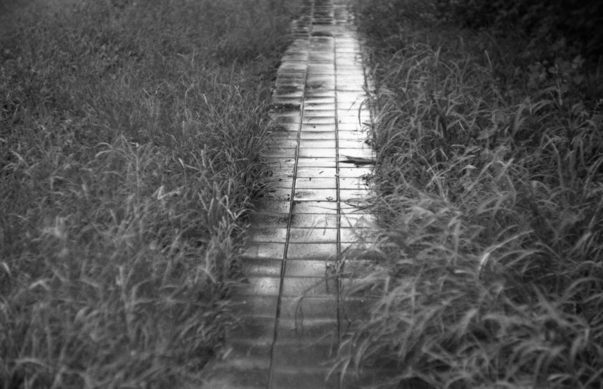 f:id:aremo-koremo:20200627022627j:plain