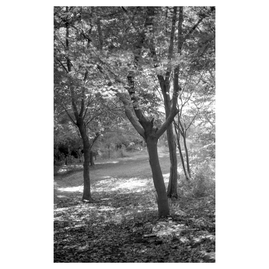 f:id:aremo-koremo:20200719032504j:plain