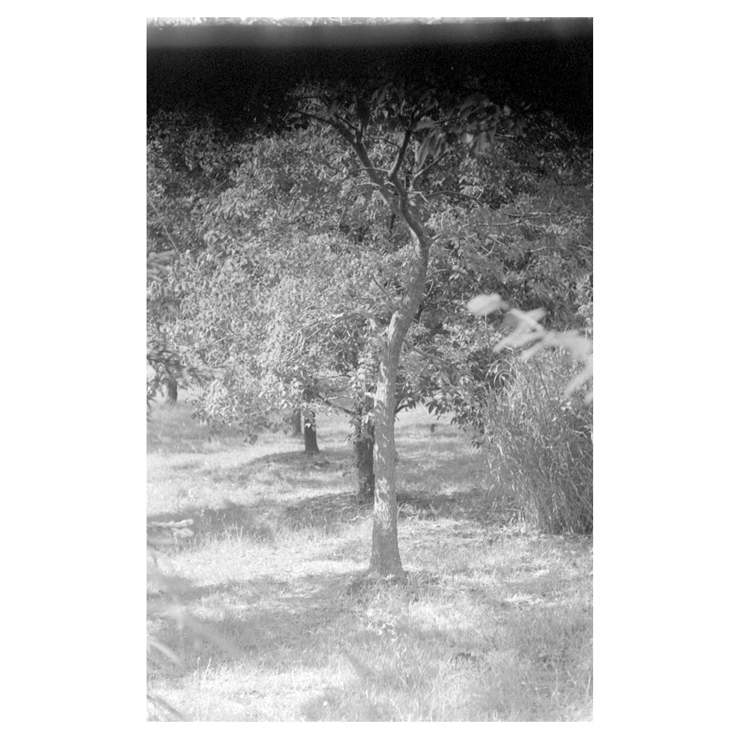 f:id:aremo-koremo:20200720023421j:plain