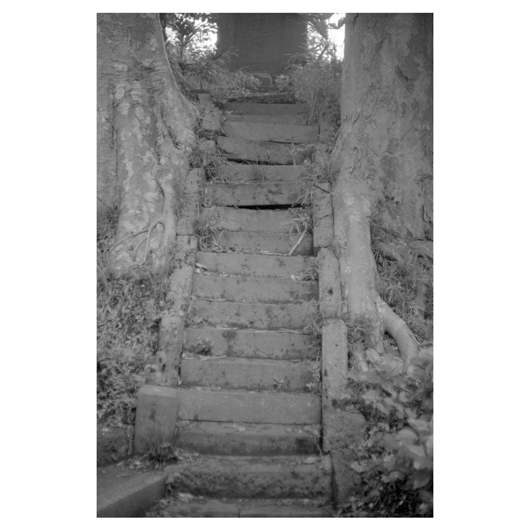 期限切れ Kodak白黒フィルムトライ-X pan 4×5（25枚入） Amazon | KODAK プロフェッショナル用 白黒フィルム トライ-X