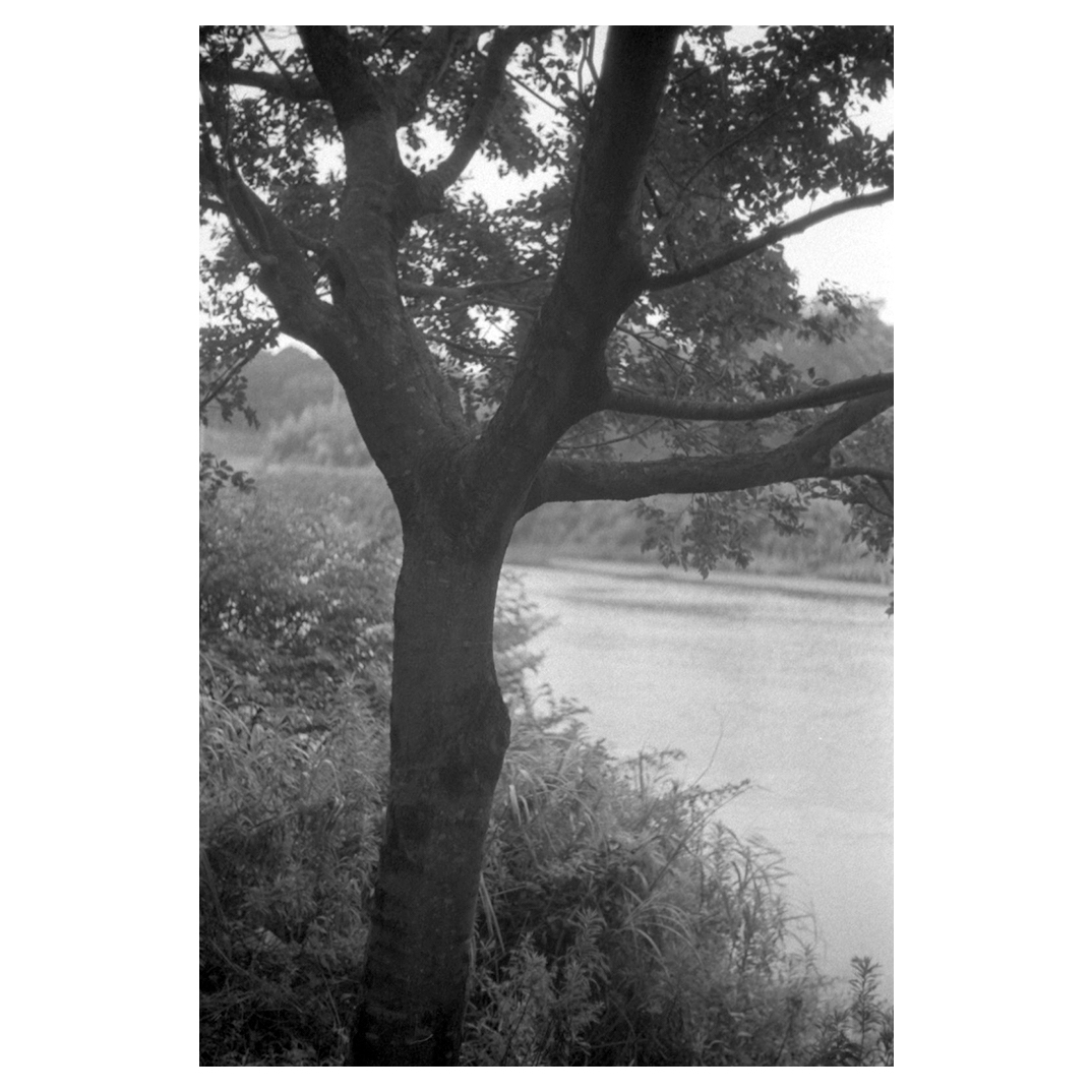 f:id:aremo-koremo:20200801175343j:plain