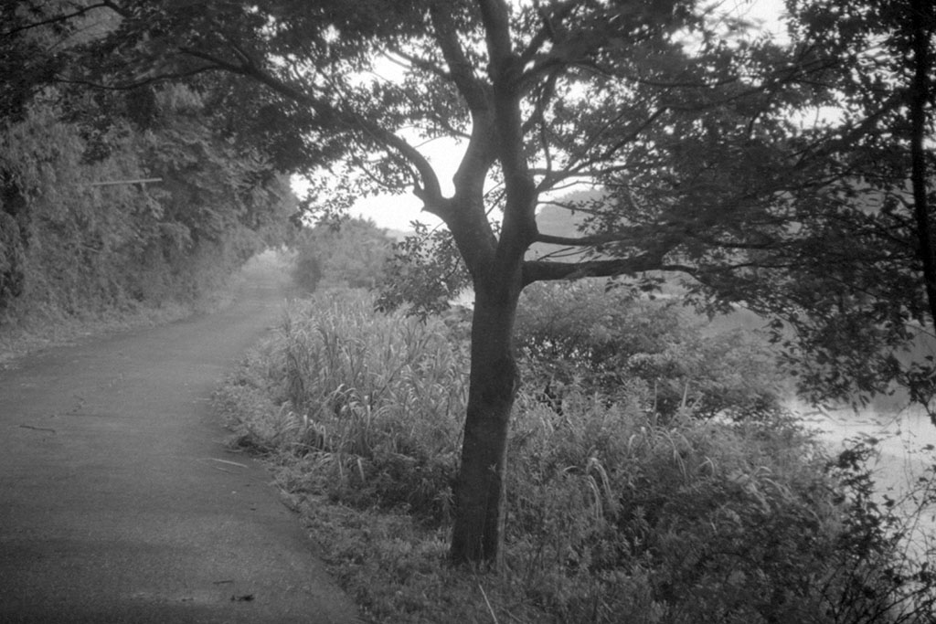 f:id:aremo-koremo:20200802102309j:plain