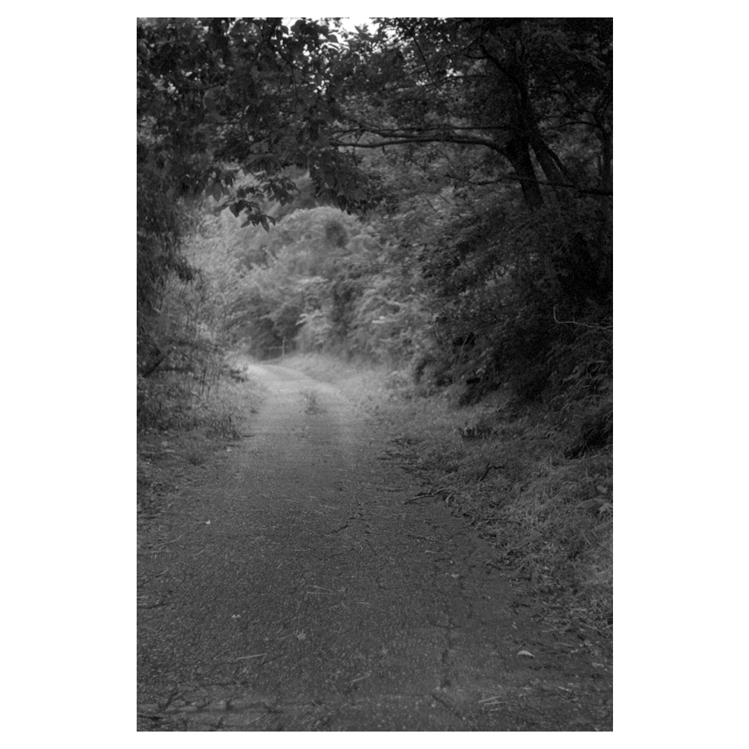 f:id:aremo-koremo:20200802102523j:plain