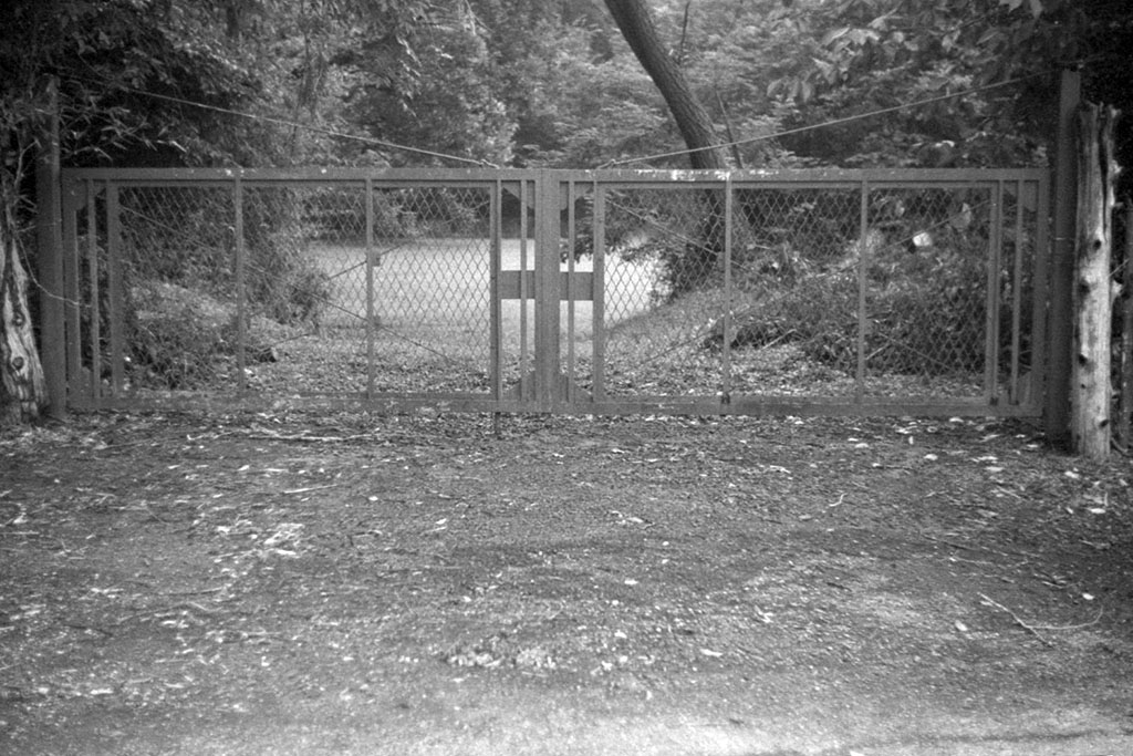 f:id:aremo-koremo:20200802102556j:plain