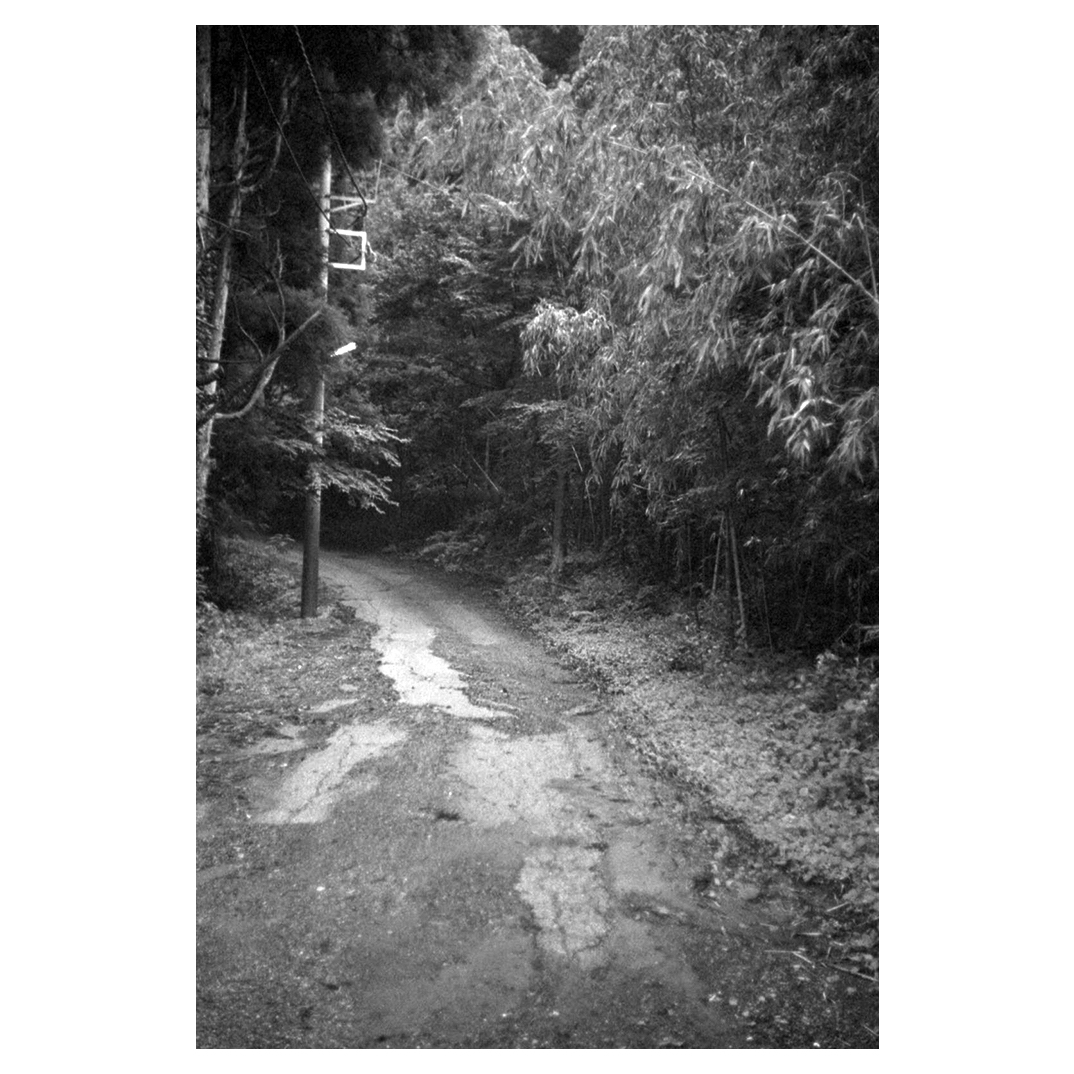 f:id:aremo-koremo:20200802102908j:plain