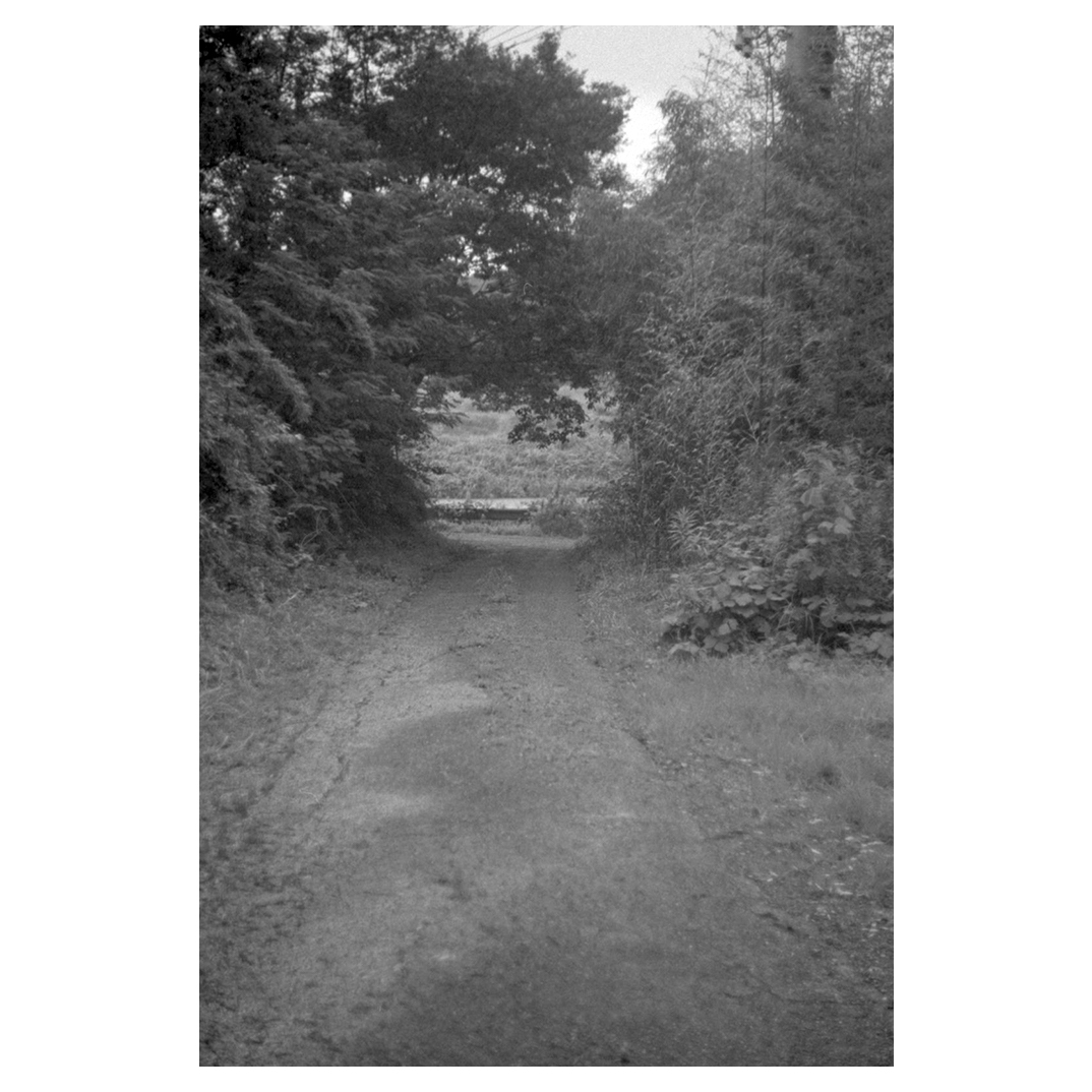 f:id:aremo-koremo:20200802103102j:plain