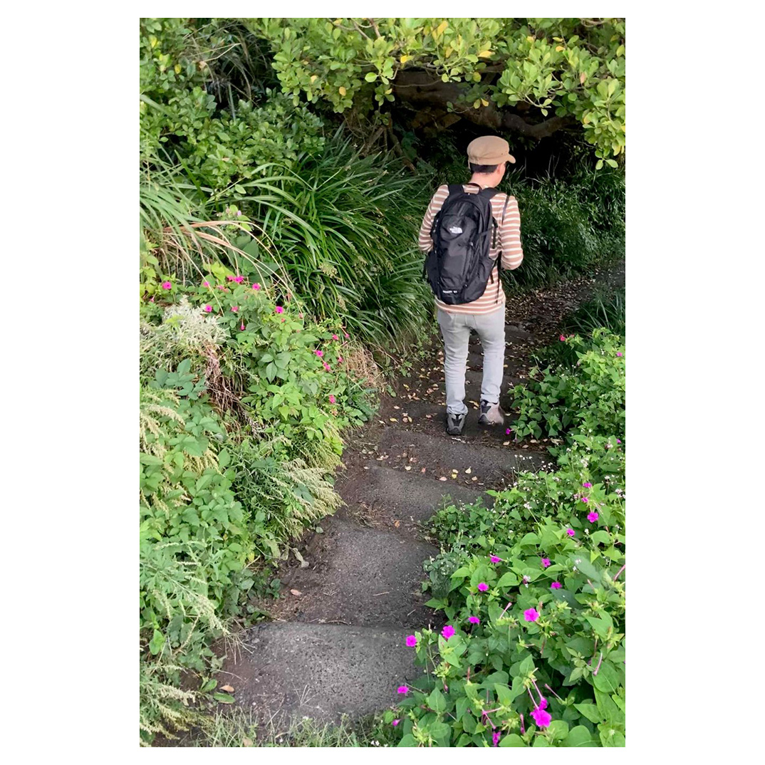 f:id:aremo-koremo:20201015031113j:plain f:id:aremo-koremo:20201015031113j:plain