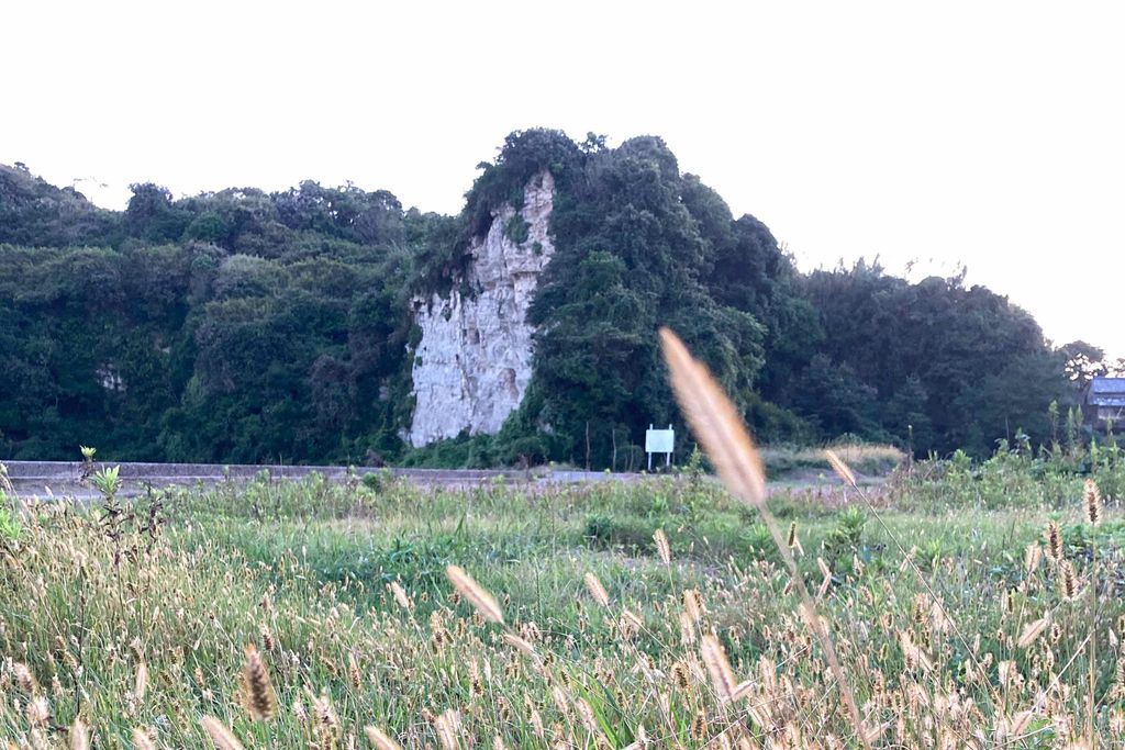 f:id:aremo-koremo:20201015031209j:plain f:id:aremo-koremo:20201015031209j:plain