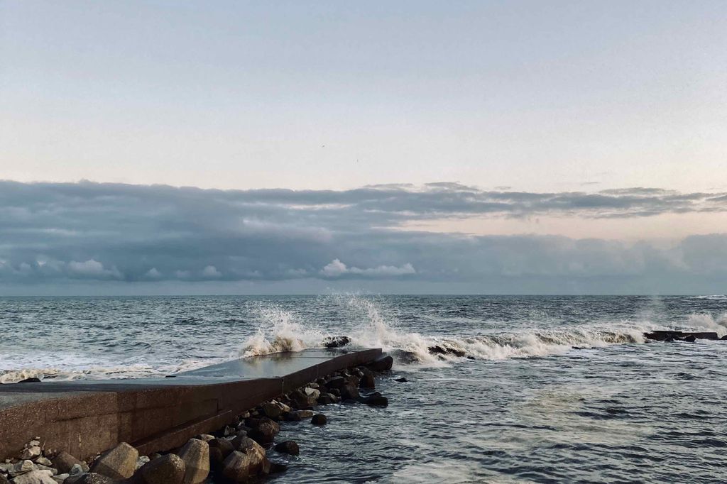 f:id:aremo-koremo:20201015031326j:plain f:id:aremo-koremo:20201015031326j:plain