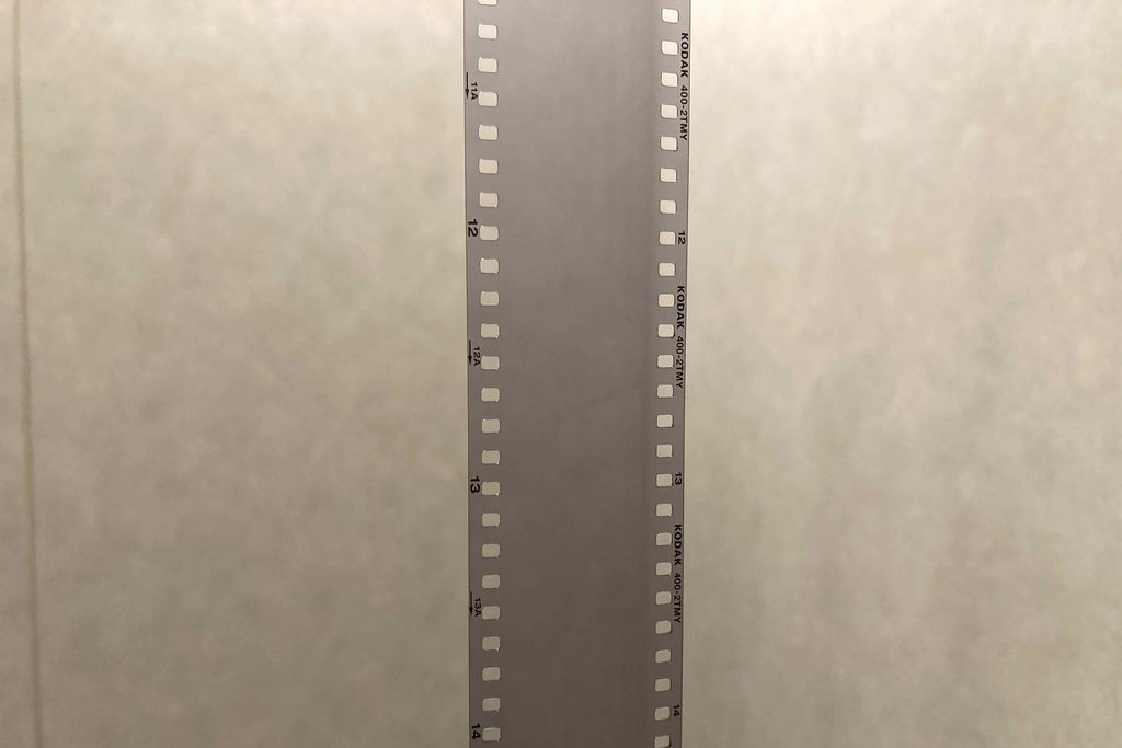 f:id:aremo-koremo:20201015033609j:plain f:id:aremo-koremo:20201015033609j:plain