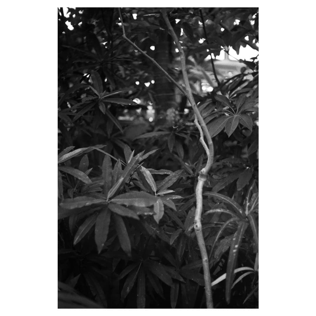 f:id:aremo-koremo:20201026220346j:plain