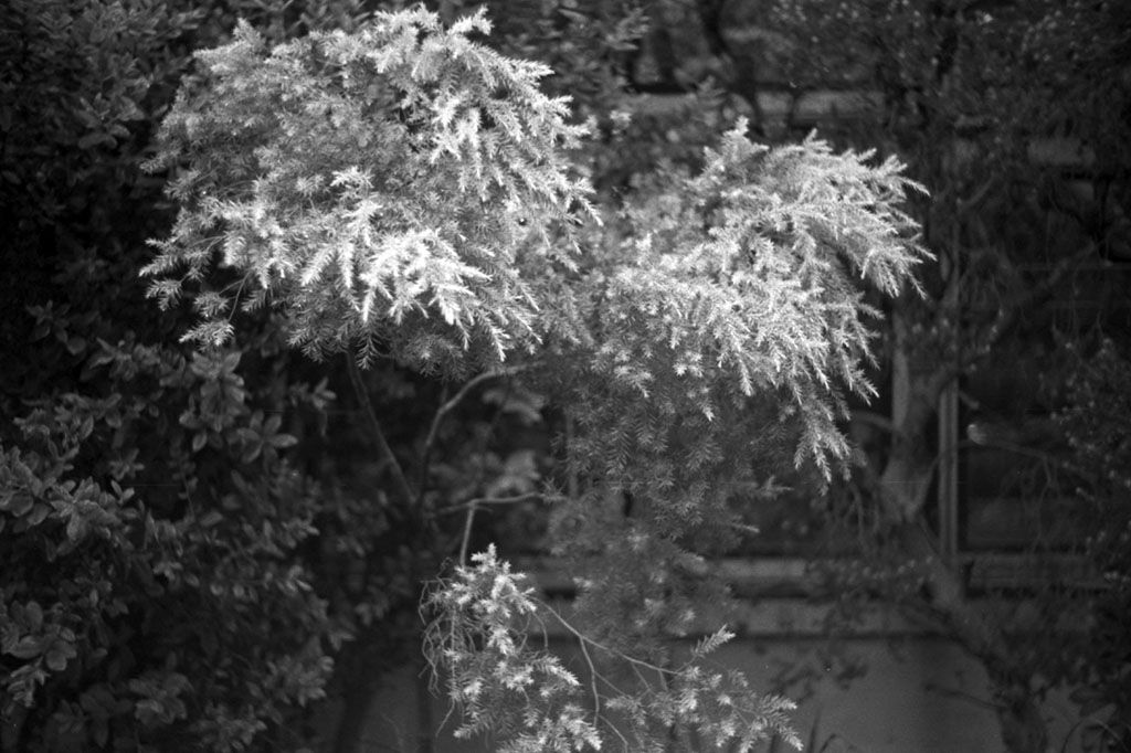 f:id:aremo-koremo:20201026220714j:plain